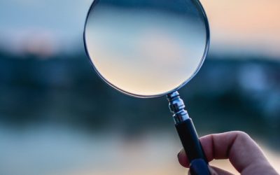 Référencement : les différents types